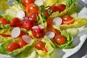 salad-1477486_960_720