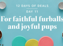 Day 11 of Amazon’s 12 Days of Deals is All About Pets