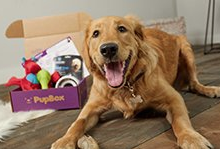 Petco: Save  Off Your In-Store Purchase of  or More