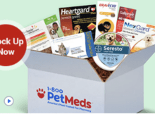 Save  on Your 0 or More 1-800-PetMeds Purchase with This Amex Offer