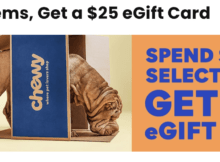 Chewy Offering a  eGift Card When You Spend  on Select Items – Stack with Credit Card Offers to Really Save