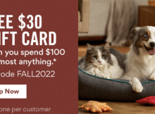 Chewy Offering a  Chewy eGift Card When You Spend 0 or More + Other Savings Opportunities