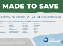 P&G Spring 2023 Rebate Promo – Spend  and Get a  Visa Gift Card or Spend  and Get a  Visa Gift Card Up to 2 Times