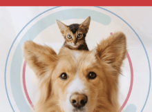 Today July 28th Only – PetSmart Offering 20% Off Online Purchases of Select Pet Products